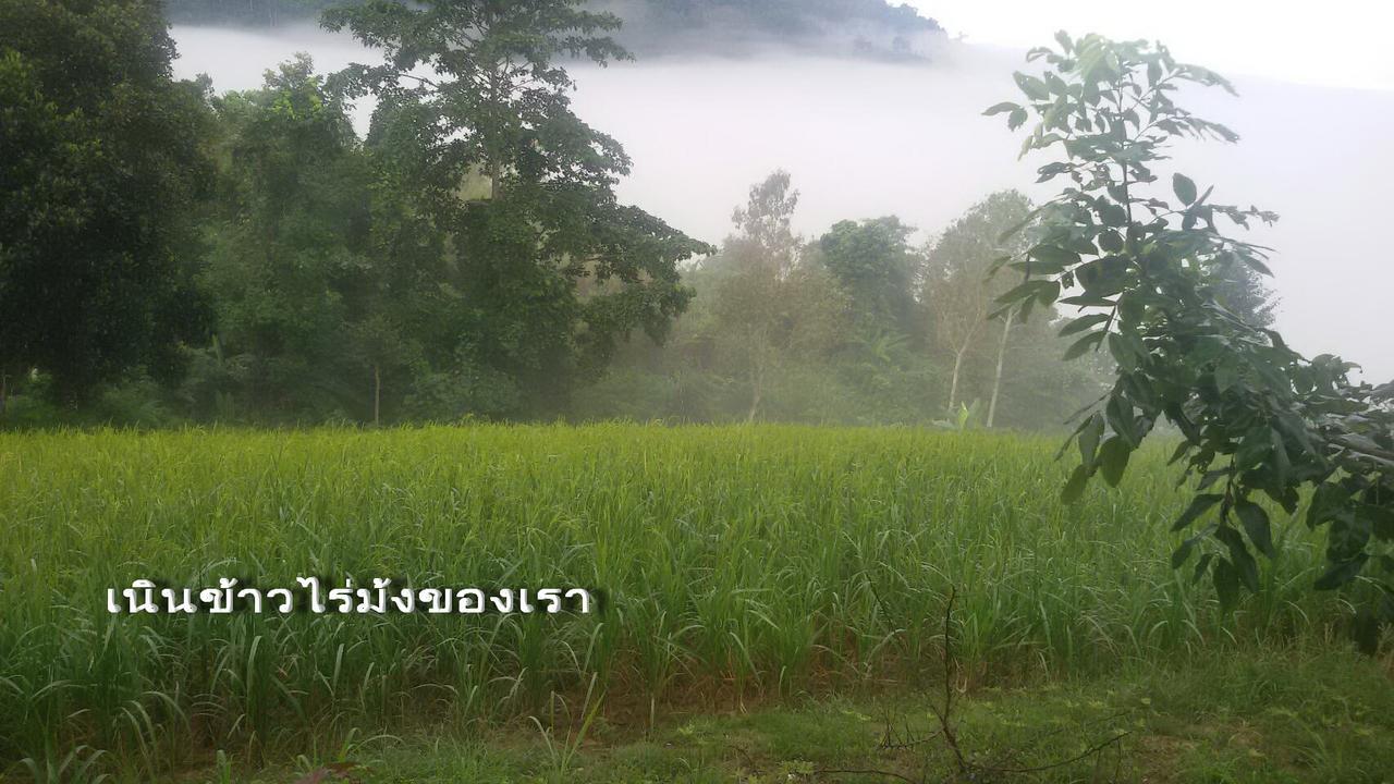 Kaokorswiss Resort Khao Kho Exterior photo